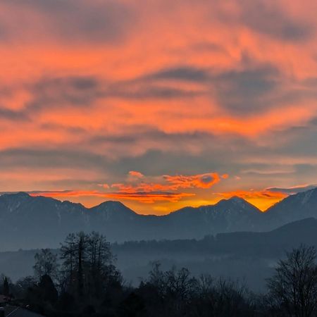 Am Eichholz Galerie & Art-Hotel Murnau am Staffelsee Εξωτερικό φωτογραφία