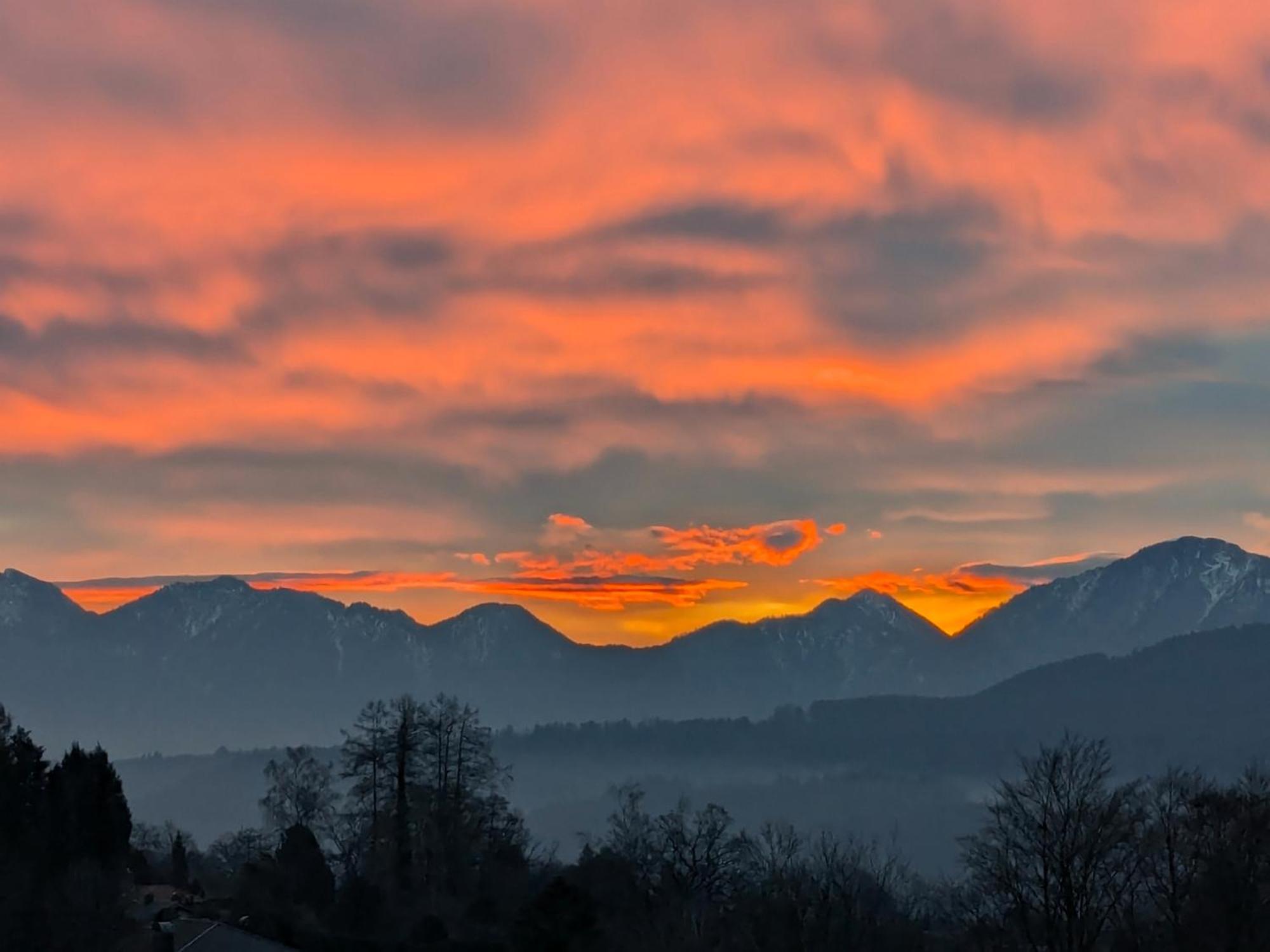 Am Eichholz Galerie & Art-Hotel Murnau am Staffelsee Εξωτερικό φωτογραφία